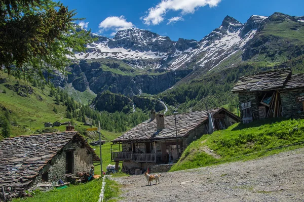 Landschaft der italienischen Alpen — Stockfoto