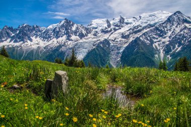 Fransız Alp manzarası
