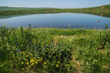 park naturel bölgesel des volcan d 'auvergne