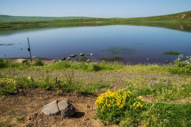 park naturel bölgesel des volcan d 'auvergne