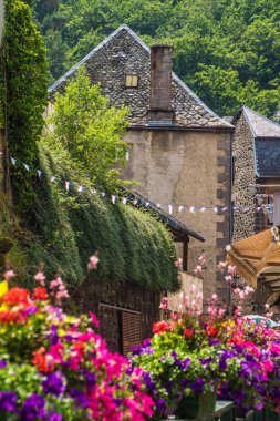park naturel bölgesel des volcan d 'auvergne