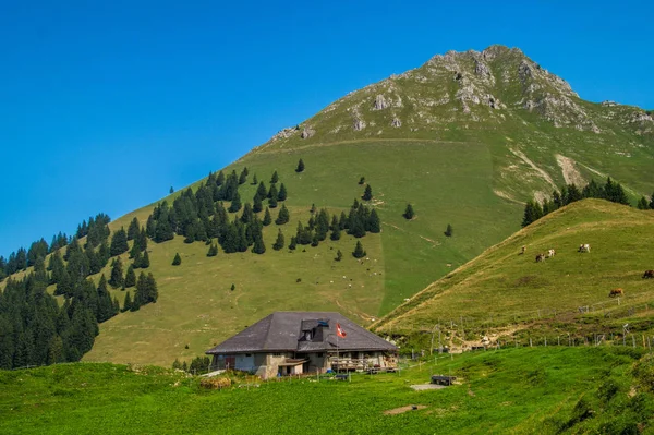 スイスアルプスの風景は — ストック写真