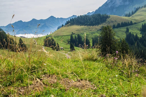 İsviçre Alplerinin manzarası — Stok fotoğraf