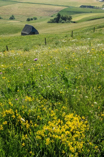 Park naturel regionální des volcans d 'auvergne — Stock fotografie