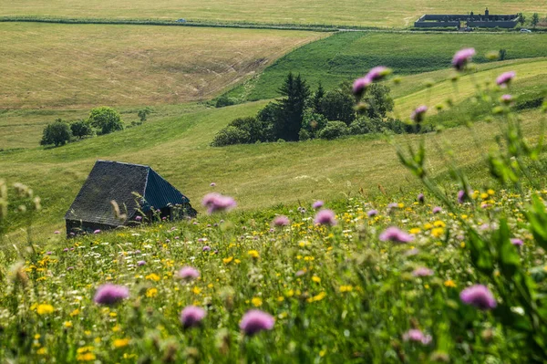 Park naturel regionální des volcans d 'auvergne — Stock fotografie