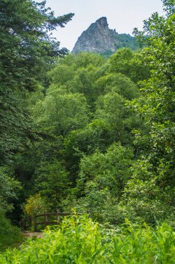 park naturel bölgesel des volcan d 'auvergne
