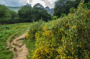park naturel bölgesel des volcan d 'auvergne