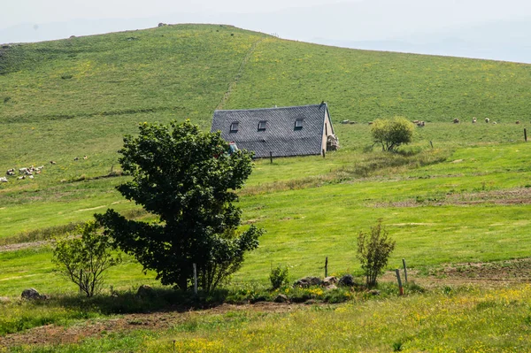 Parque natural regional des volcanes d 'auvergne — Foto de Stock