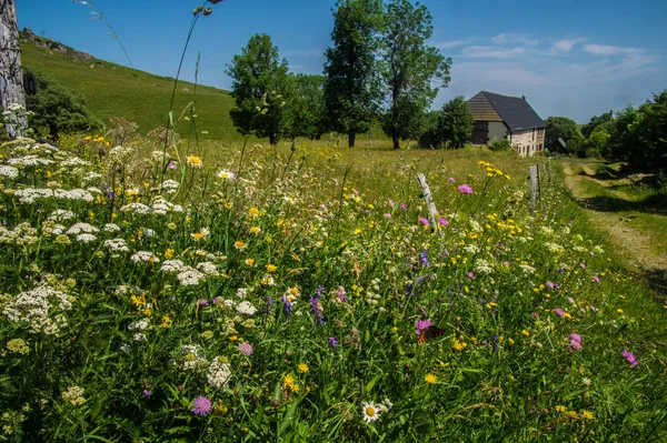 Parnaturel regional des volcans d'auvergne — 图库照片