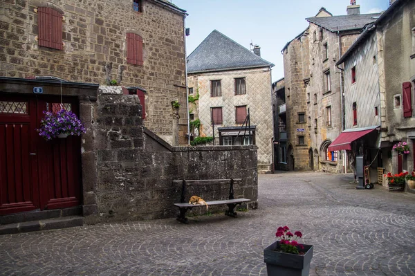 Park naturel regional des volcans d 'auvergne — Stockfoto