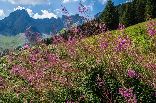 Paisaje de los Alpes franceses — Foto de Stock