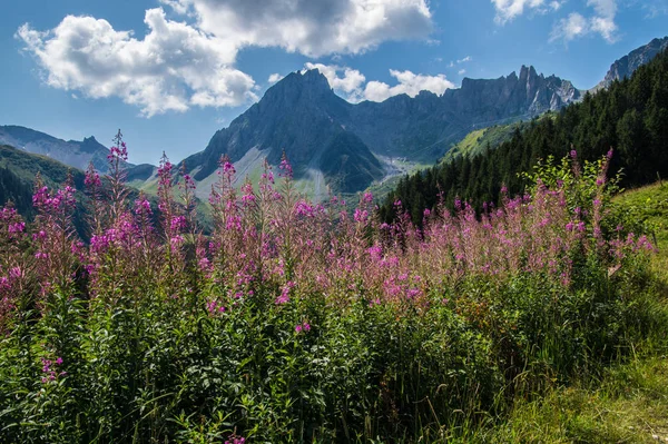 Landschaft der französischen Alpen — Stockfoto