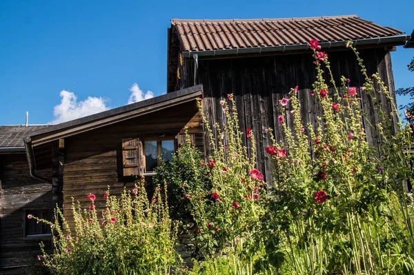 Landschap van de Zwitserse Alpen — Stockfoto