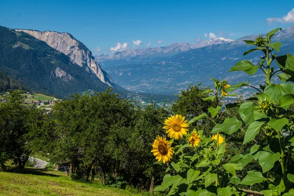 Paisaje de los Alpes suizos — Foto de Stock