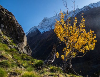 İsviçre Alplerinin sonbaharda manzarası
