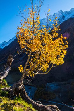 İsviçre Alplerinin sonbaharda manzarası