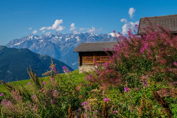 Landscape of the Swiss Alps — Stock Photo, Image