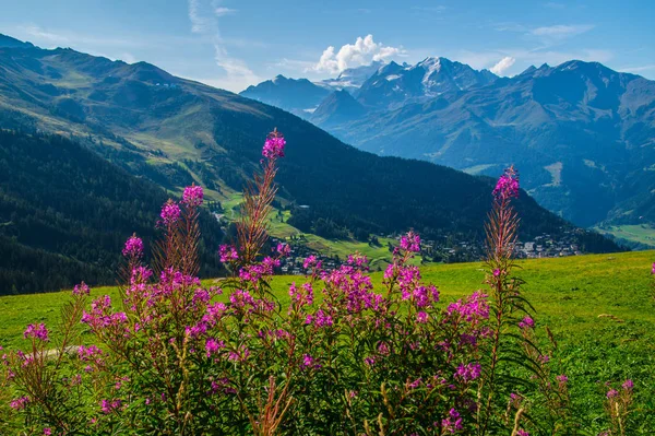 スイスアルプスの風景は — ストック写真