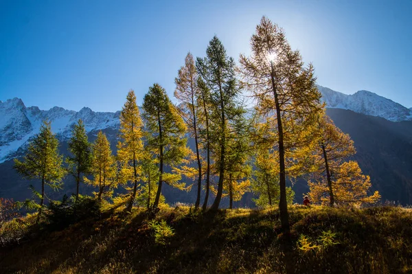 Paisaje de los Alpes suizos en otoño —  Fotos de Stock