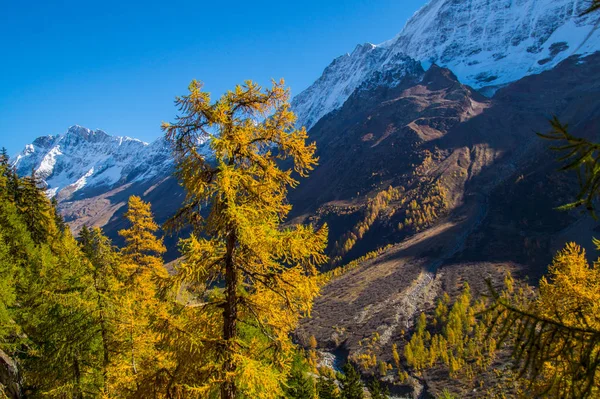 Landscape of the Swiss Alps in autumn — Stock Photo, Image