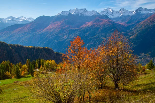 秋のイタリアアルプスの風景 — ストック写真