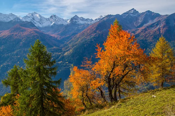 秋のイタリアアルプスの風景 — ストック写真