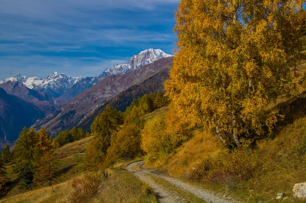 Paisaje de los Alpes italianos en otoño —  Fotos de Stock