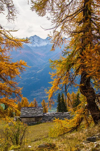 秋のイタリアアルプスの風景 — ストック写真