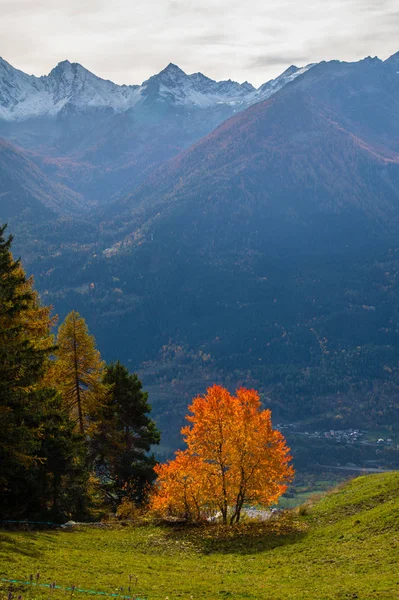 秋のイタリアアルプスの風景 — ストック写真