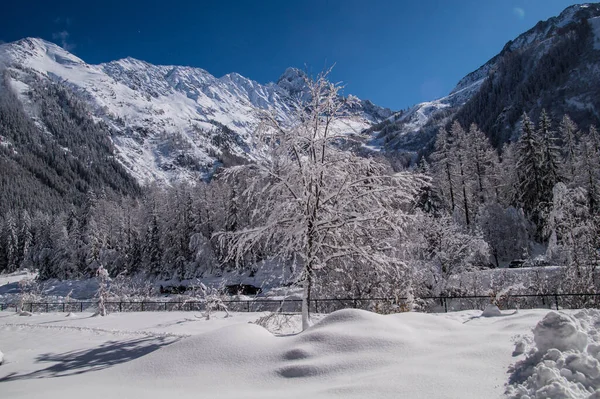 Argentiere Chamonix Haute Savoie France Żadnych Opłat Rezerwacyjnych — Zdjęcie stockowe