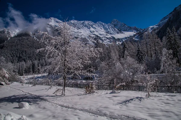 Argentiere Chamonix Haute Savoie Frankrike — Stockfoto