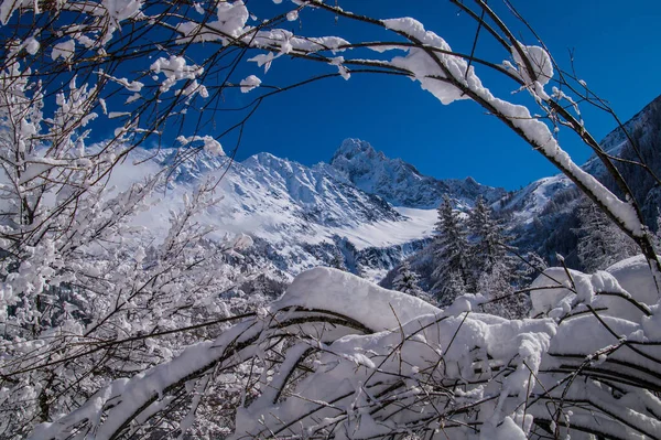 Argentiere Chamonix Haute Savoie Frankrike — Stockfoto