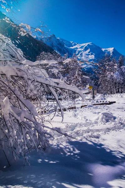 Argentiere Camoniere Alta Savoie Francia — Foto Stock