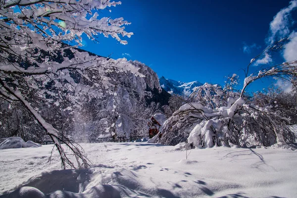 Argentiere Camoniere Alta Savoie Francia — Foto Stock