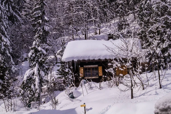Argentiere in chamonix in Haute Savoie in France