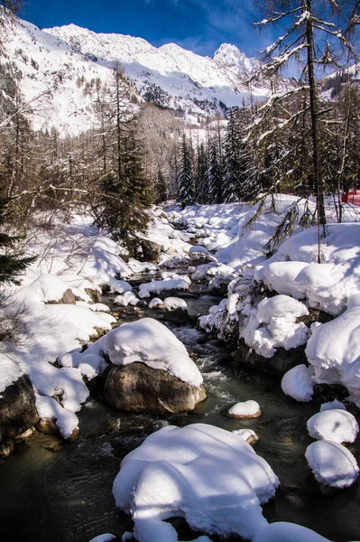 Argentiere Chamonix Alta Savoie França — Fotografia de Stock