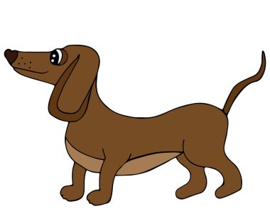 Sevimli köpek beyaz arka plan üzerinde izole