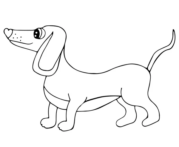 Niedlicher Dackelhund isoliert auf weißem Hintergrund — Stockvektor