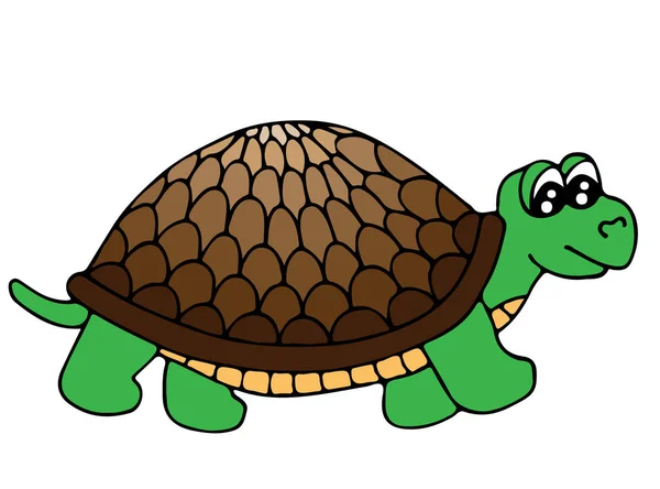 Leuke kleurrijke schildpad geïsoleerd op de witte achtergrond — Stockvector