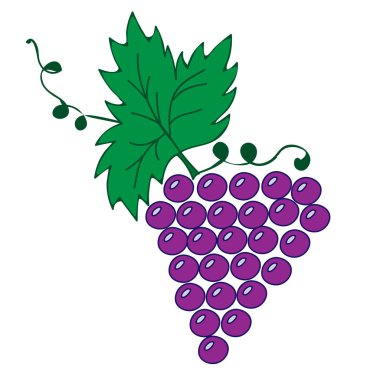 Beyaz arka plan üzerinde yaprakları ve üzüm çizim ile asma