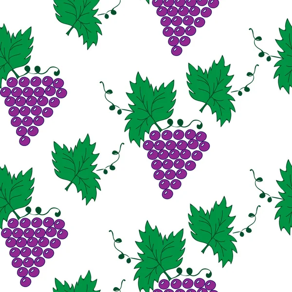 Beyaz backgr üzerinde sorunsuz desenli yaprakları ve üzüm asma