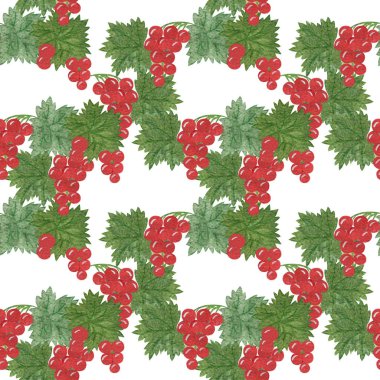 Suluboya el Berry botanik illüstrasyon kırmızı PB, boyalı