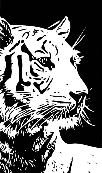 Black and white tiger portrait vector illustration — Stock Vector