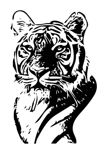 Black and white tiger portrait vector illustration — Stock Vector