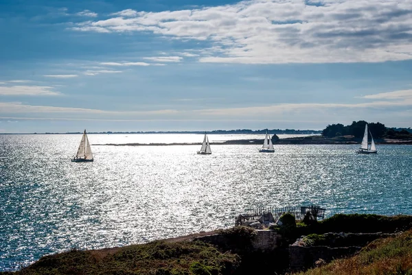 Régate de voiliers en Bretagne, Carnac — Photo