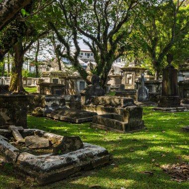 Eski park, eski Hıristiyan mezarlığı, tropik bölgelerde, penang