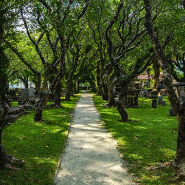 Eski park, eski Hıristiyan mezarlığı, tropik bölgelerde, penang