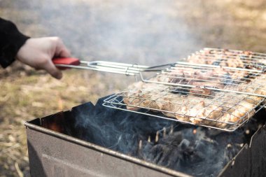 Izgarada kızartılmış tavuk şiş kebap. Tavuk Kanatları Izgarada