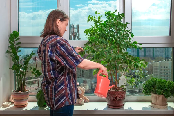 Woman watering flowers home on the windowsill. A housewife takes care of home flowers. Plants on the window in the room. House plants in the apartment. Hobby flower