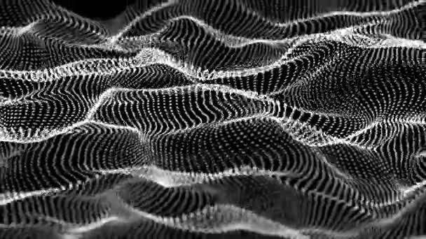 Animations Of Wave Motion From Particle Particles Field Dance